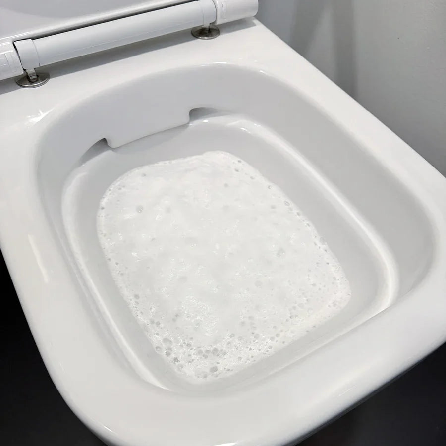 Pure 100 Foam flush