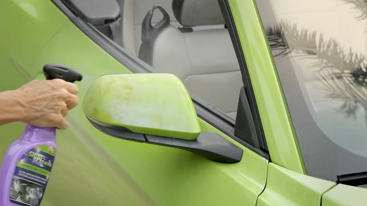 Shine & Seal Solution met dashcam