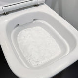 Pure 100 Foam flush